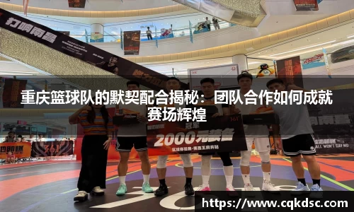 3377体育官网