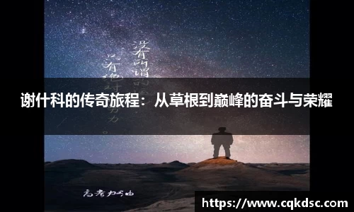 3377体育在线登录入口